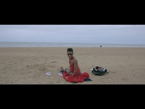 FANS OF FLANDERS - LEO DE JANEIRO: Flemish Coast