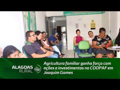 Agricultura familiar ganha força com ações e investimentos na COOPAF em Joaquim Gomes