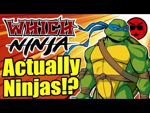 The Teenage Mutant Ninja Turtles are REAL Ninjas!? - Which Ninja
