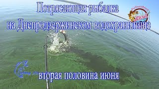 Ловля хищной рыбы на днепродзержинском водохранилище