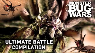 Download lagu The Ultimate Battle Compilation | Monster Bugs Wars mp3 Download lagu The Ultimate Battle Compilation | Monster Bugs Wars mp3