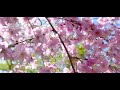 Dekha Ek Khwaab Toh Yeh Silsile Whatsapp Status