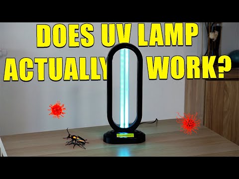 Haloclean UV Light Review - Does This UV Sanitizer Actually Work?