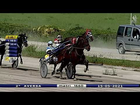 Aversa trotto 15 Maggio 2021 - 2° Corsa