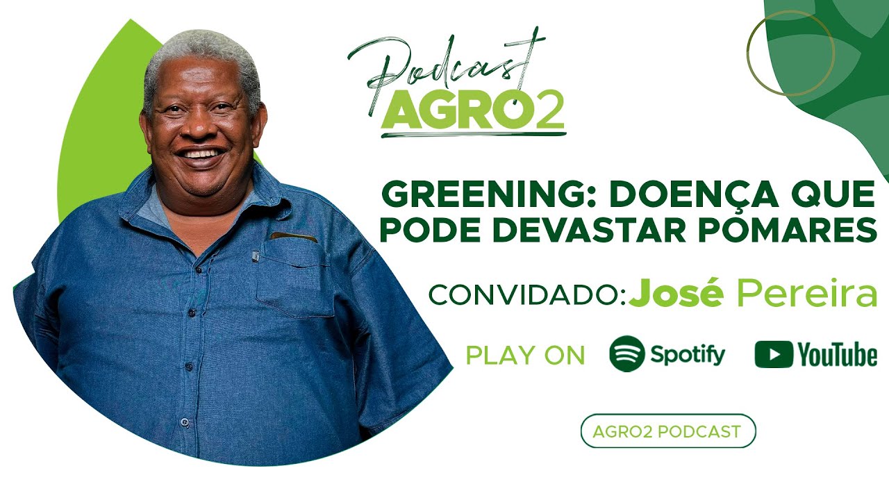 Como combater o greening, doença que pode devastar pomares #300