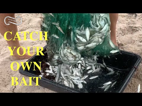 HOW TO CAST A 6 FOOT CAST NET - CATCHING YOUR OWN BAIT ON THE BEACH (FF Episode 19, season 1)
