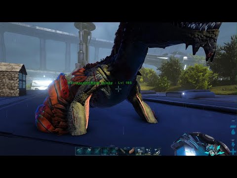 185 Rock Drake tame | Arklocke {S1E10}