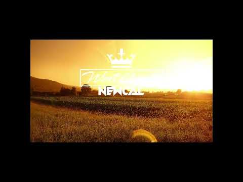 Psm Crew, Kira & Ykee Benda - Byonkola (Remix) 2K22