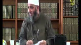 آراء وردود الشيخ image