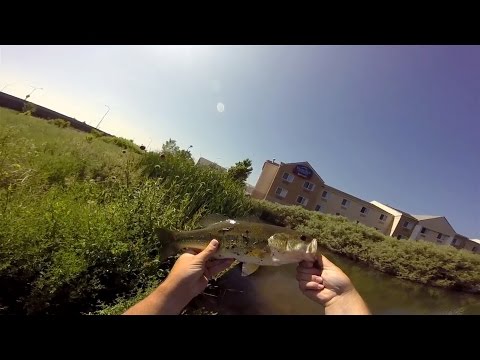 GoPro: Justin Wallick - Best Catch 6.22.15 - Fish