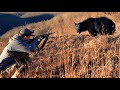 I Flipped My Side By Side And Shot A Bear