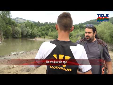 Un vis luat de ape (Stirile Tele'M)