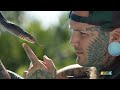 Creator of 'Tiger King' is releasing new series on reptile smuggling