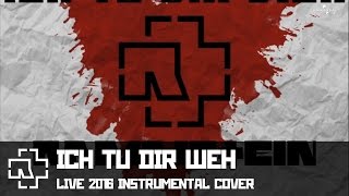 Rammstein - Ich Tu Dir Weh (instrumental cover LIVE)