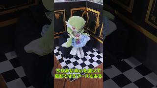 ポケぬい活！ぬいバザ出張版 夏 in 梅田