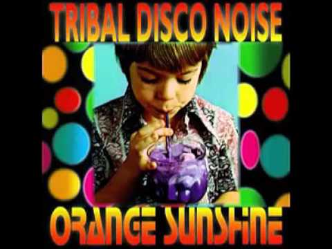 Tribal Disco Noise Conceited