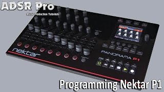 Tutorial Programming Nektar Panorama P1 for external Instruments