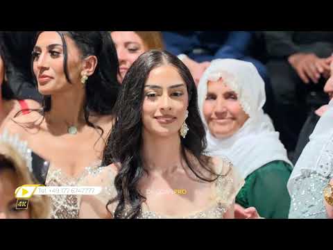 Hakim Lokman / Hemdiye & Mahsum /Aslan Deko/Part12/ #DilocanPro #Hochzeit #Wedding #Kurdish #Dilocan