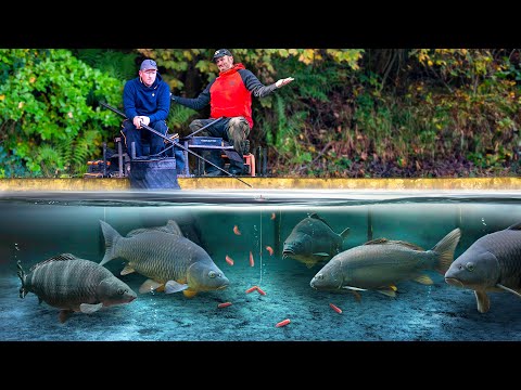 Underwater Pole Fishing Masterclass with Bennett & Ringer!
