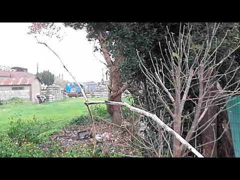 ALCo RSD-35 #6438 + cerrado maniobrando en la Playa Norte de Haedo