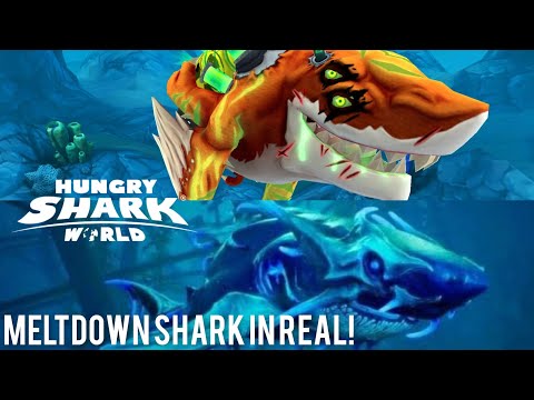 MELTDOWN SHARK! IN REAL? - Hungry Shark World