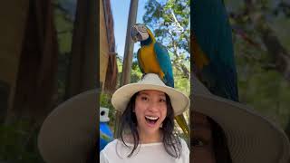 100% Animal Fun, 0% AI Slop 🚫🤖 | These Animal Videos Are NOT AI