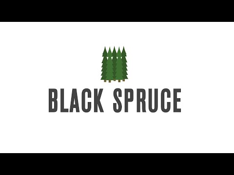 Black Spruce Production