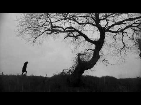 J'ai si froid... Après la pluie...