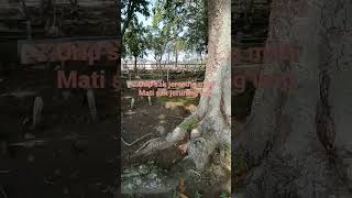 Download lagu Gus IMM mp3 Download lagu Gus IMM mp3