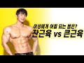 여자들은 과연 어떤 체형을 좋아할까? 마른데 잔근육 vs 거대한 큰근육
