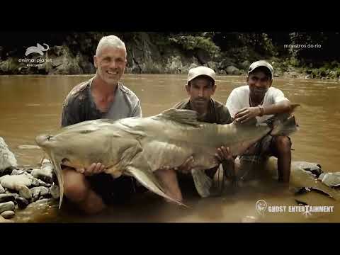 Jeremy Wade Monstros do Rio - A Volta do Bagre Assassino