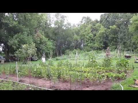 Sunday Morning Peace