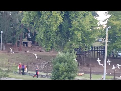 Parque Rodó en minas nunca creí que fuera así😃