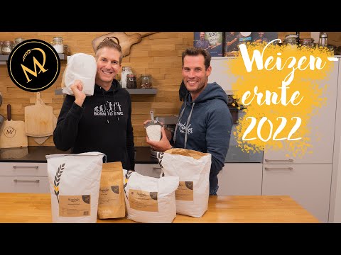 How did the 2022 wheat harvest turn out? Answers from master miller Alessandro Fontana