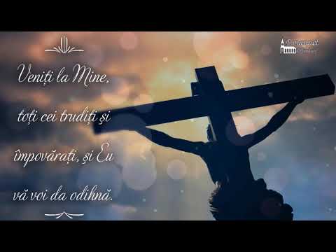 Definitia Iubiri -Zorica Petrus