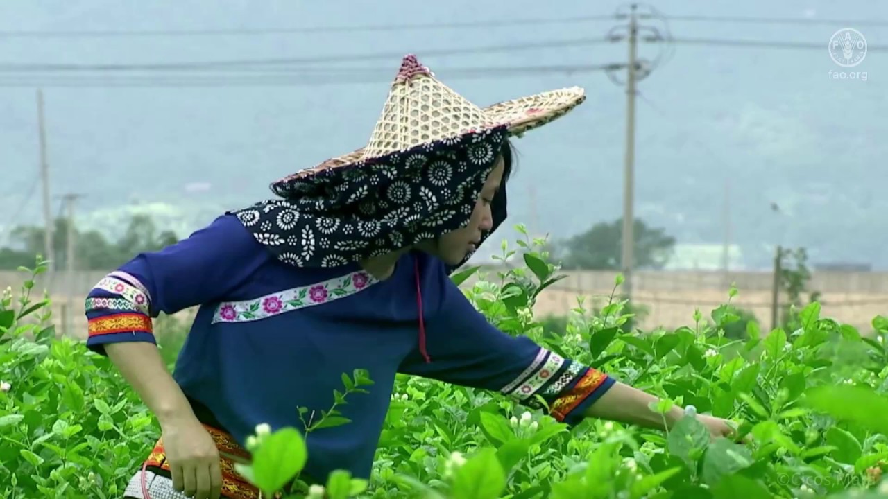 youtube video id=uytX1Drx08c