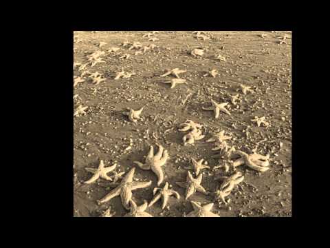 Starfish Story: A Teacher's Influence