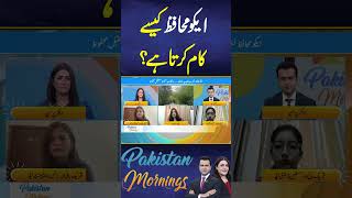 How Does Eco Muhafiz Work? | Aik News