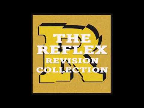 The Reflex & Master Chic Remixes   DJ Suss 2   Vol  4