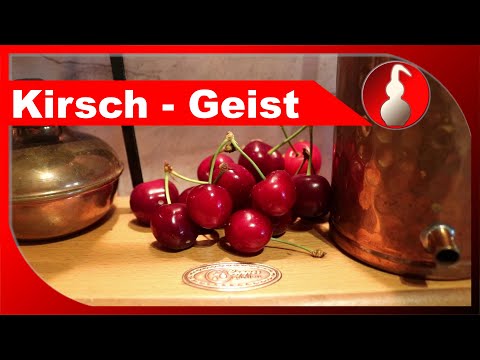 Kirsch-Schnaps selber machen - als Geist - funktioniert das? - Schnapsbrennen als Hobby - diSTILLed