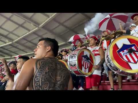 "LA QUE LE PIDE HUEVO A LOS JUGADORES" Barra: La Banda de Los Kuervos &bull; Club: Junior de Barranquilla