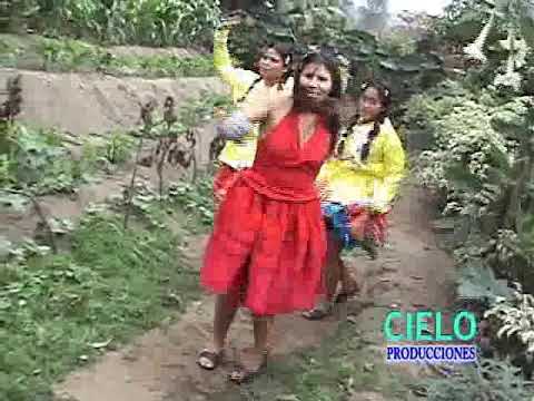 PICAROS DE LA JARANA - MUSICA CAJAMARQUINA