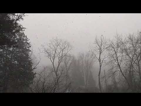 Snow Squall in Lehigh Valley Valley, PA, US