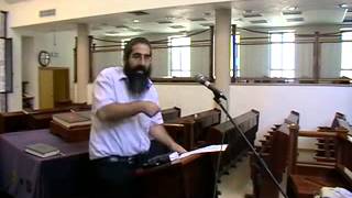 מה ראה פנחס