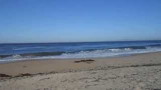 preview picture of video 'Serene Marina State Beach Monterey Bay, California.'