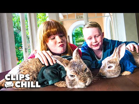 Managing Stubborn Humans | Peter Rabbit 2: The Runaway