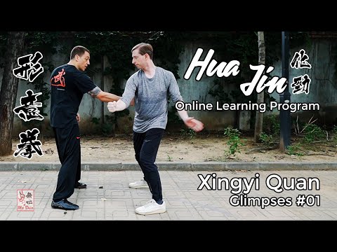 Xingyi Quan Glimpses #01 - Hua Jin Online Learning Program
