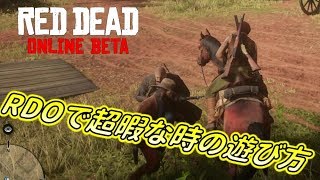【RDO】超暇な時の遊び方