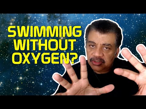 Jiggle Wiggle Waggle Walk with Charles Liu - StarTalk - YouTube