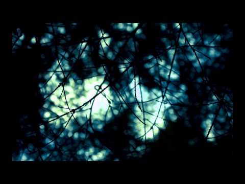 Ungu & Stacy - Berteman Sepi (Lyric Video)